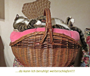 IMG_8613 x..webp