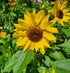 20220719_120011.jpg
