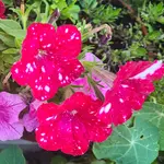 20220719_120219.webp