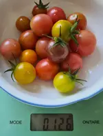 20220719_125813.webp