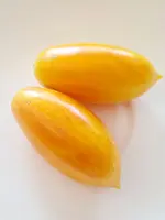 20220720_154027.jpg
