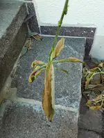 20220720_162421.webp