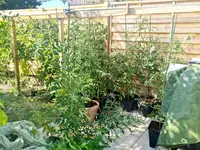 20220720_165445.jpg