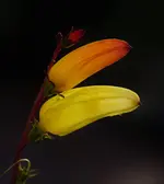 ftwttbwrbJul22.webp