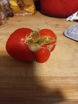20220720_174500.jpg