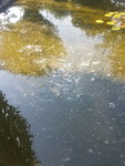 20220720_180413.jpg