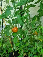 20220722_111013.webp