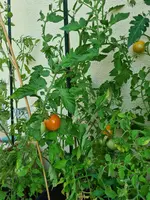 20220722_111015.webp