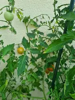 20220722_111026.webp
