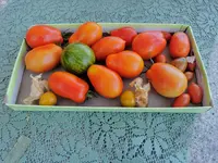 IMG_20220722_183246.webp