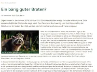 Waschbären einfach essen.webp