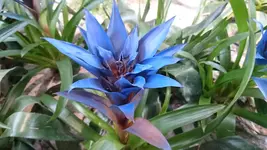 IMG-20190801-WA0001 (4).webp