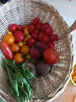 20220724_085609.webp