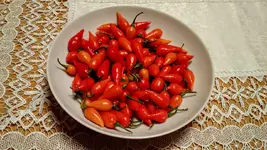 IMG_20171216_161616986.webp