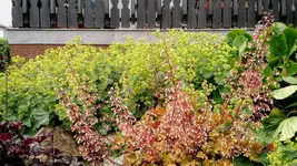 IMG_20180524_121510077.webp