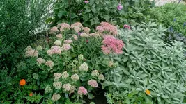 IMG_20180904_182424932.webp