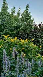 IMG_20180720_193609630_HDR.webp