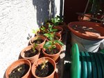DSC00876.JPG