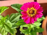 20220724_174227.webp