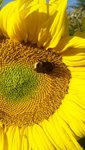 20220723_191247.jpg