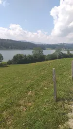 20220724_113909.webp