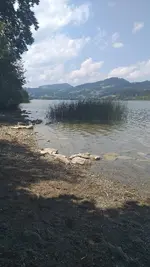 20220724_131217.webp