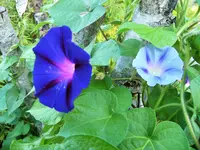 DSCF3019 (2).webp