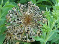 DSCF3024 (2).webp