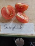 IMG_20220725_132423.jpg