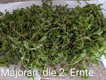 PXL_20220725_075255835~2.jpg