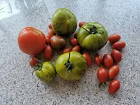 IMG_20220725_103727.webp