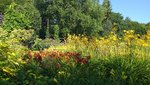 20220725_095322.jpg