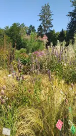 20220725_095442.webp