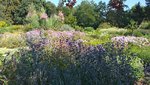 20220725_095512.jpg