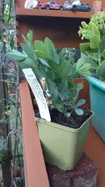20220725_203408.webp