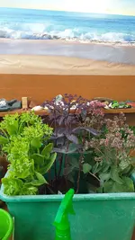 IMG-20220725-WA0003.webp