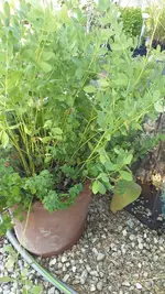 20220725_102742.webp