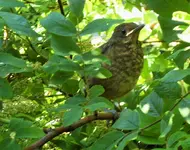 DSCF3032 (3).webp
