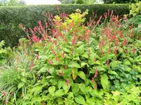 DSCF3035 (2).webp