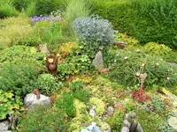 DSCF3043 (2).webp