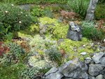 DSCF3044 (2).JPG