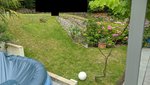 IMG_20220722_191301.jpg