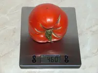 HPIM4333[1].webp