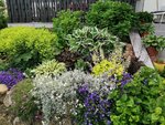 IMG_20210609_194759.jpg