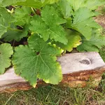 20220726_110557.webp 20220726_110557.webp