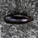 D2303B26-6893-405F-93ED-708476BA0F2B.jpeg