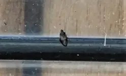 2022tr22.webp 2022tr22.webp