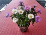 IMG_20220727_105910.jpg