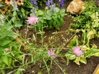 IMG_20220727_175124.webp