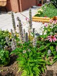 IMG_20220728_120916.jpg